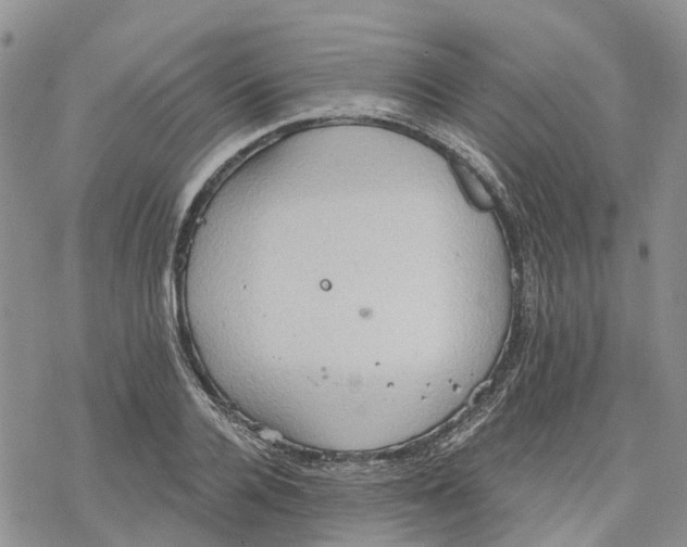 X0000078230936200611251210