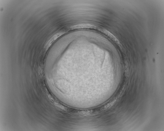 X0000078230937200611251210