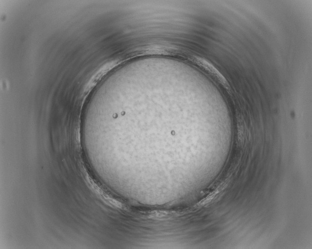 X0000078230938200611251210