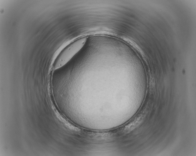 X0000078230941200611251210