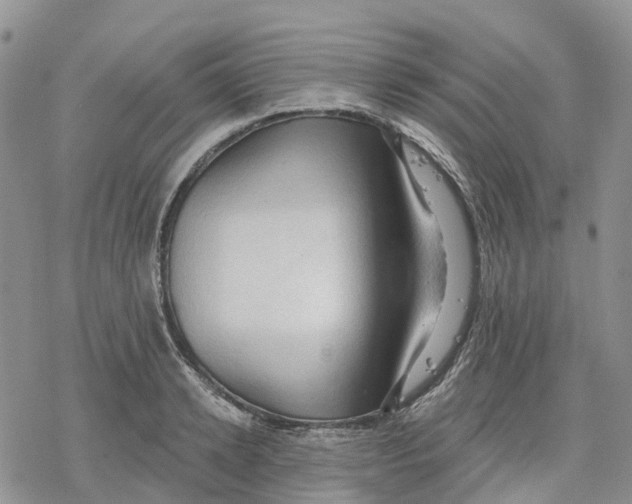 X0000078230942200611251210