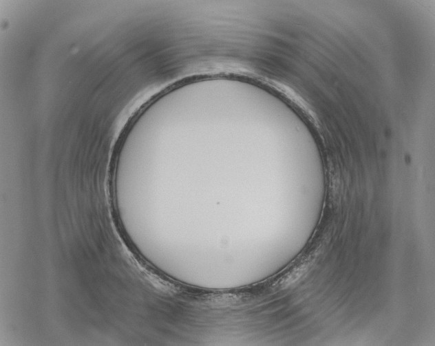 X0000078230943200611251210