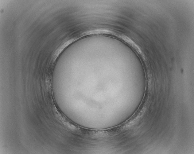 X0000078230945200611251210