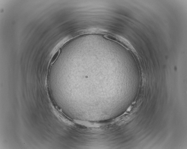 X0000078230946200611251210