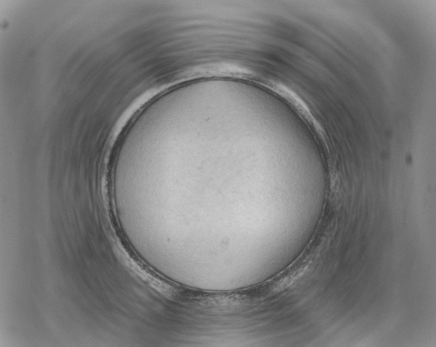 X0000078230947200611251211