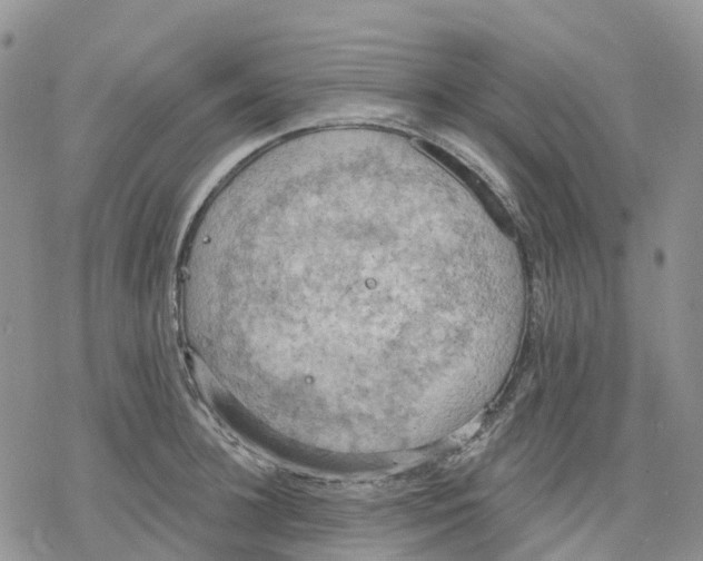 X0000078230948200611251211