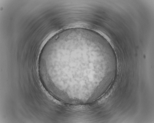 X0000078230949200611251211