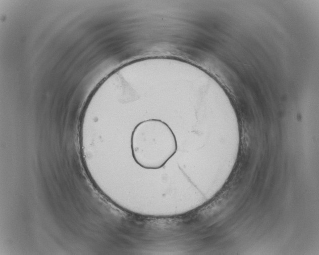 X0000078230950200611251211