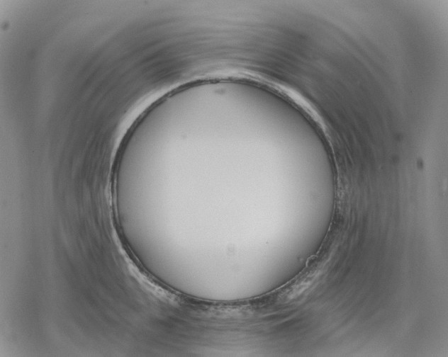 X0000078230951200611251211