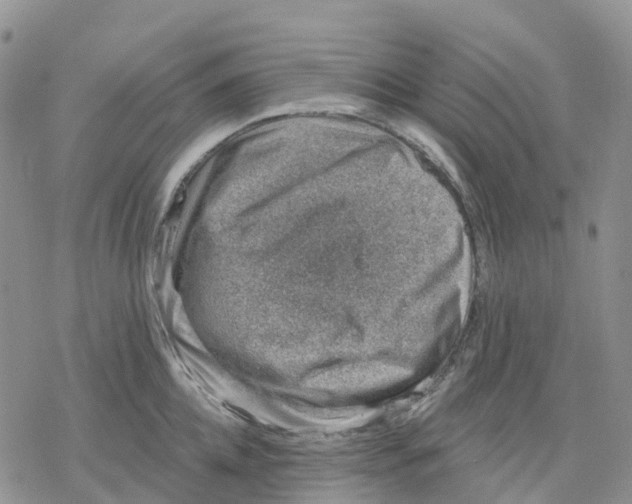 X0000078230952200611251211