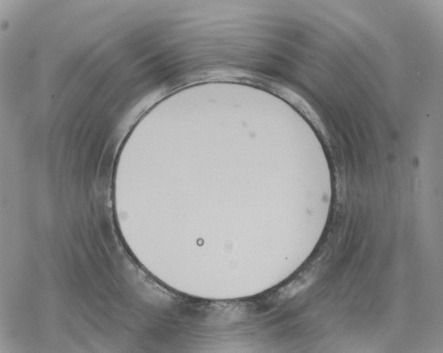 X0000078230954200611251211