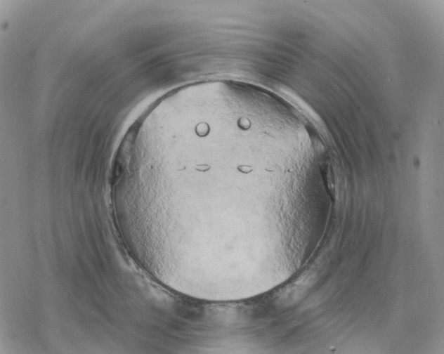 X0000078230956200611251211