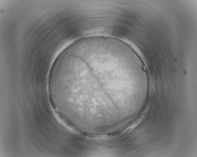 X0000078230957200611251211