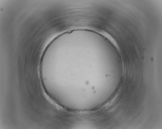 X0000078230958200611251211