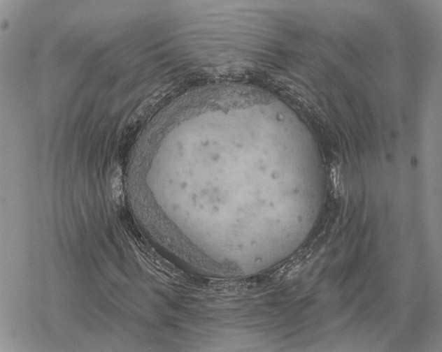 X0000078230963200611251210