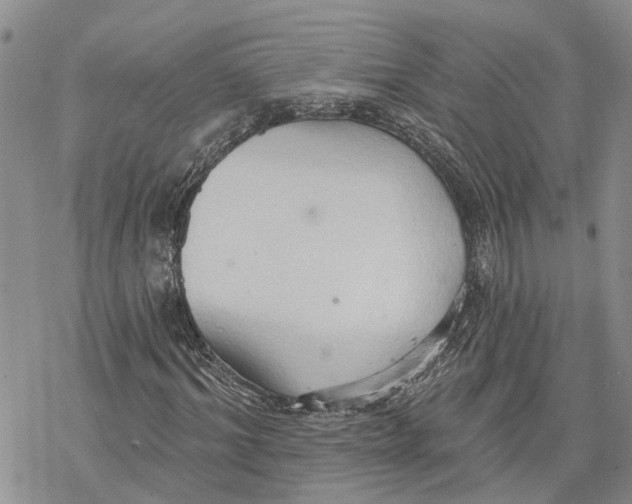 X0000078230964200611251210