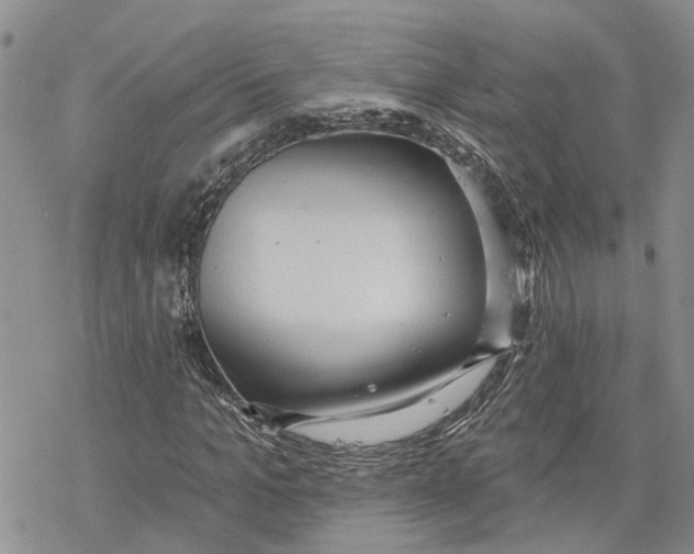 X0000078230965200611251210