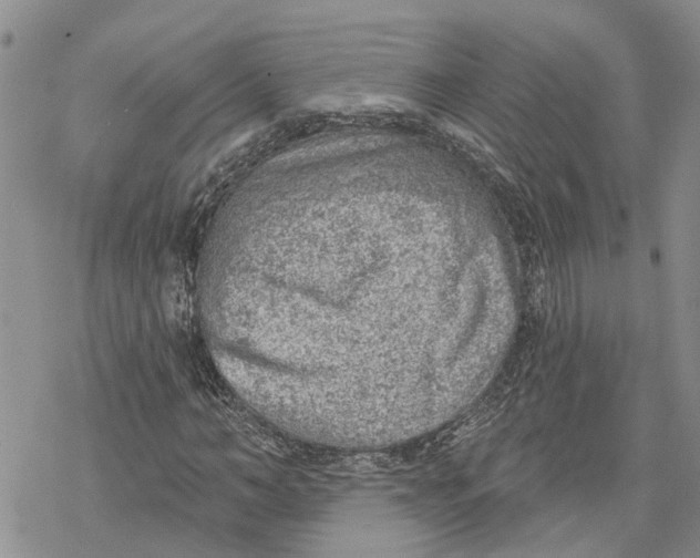 X0000078230966200611251210