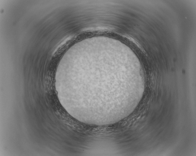 X0000078230967200611251210