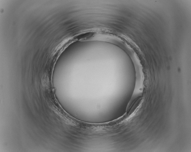 X0000078230969200611251210