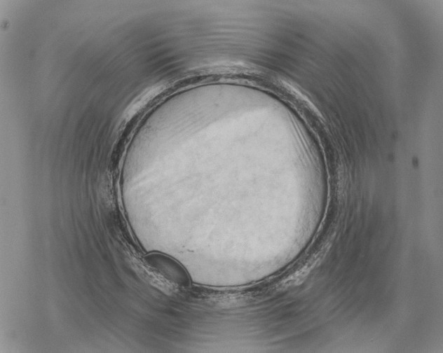 X0000078230970200611251210