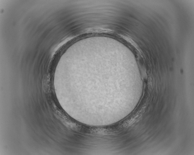 X0000078230971200611251210