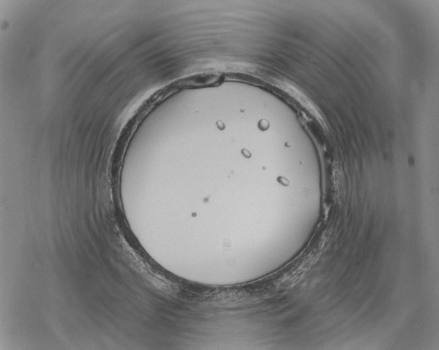 X0000078230972200611251210