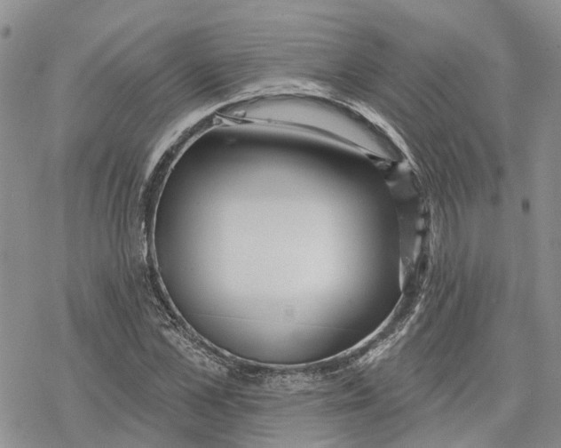 X0000078230973200611251210