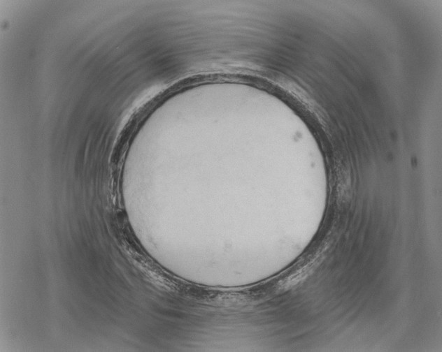 X0000078230974200611251210