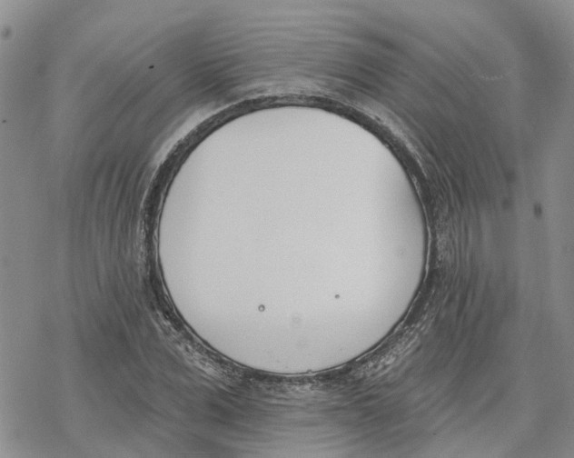 X0000078230975200611251210