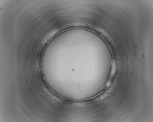 X0000078230977200611251210