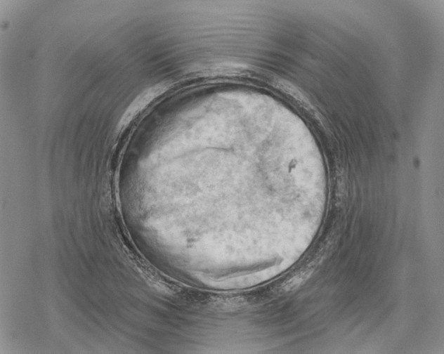 X0000078230978200611251210