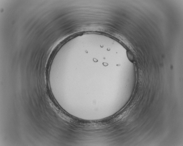 X0000078230980200611251210