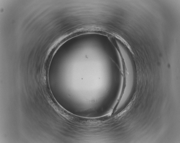 X0000078230981200611251210