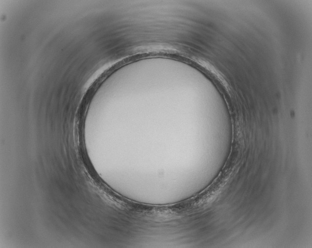 X0000078230983200611251210