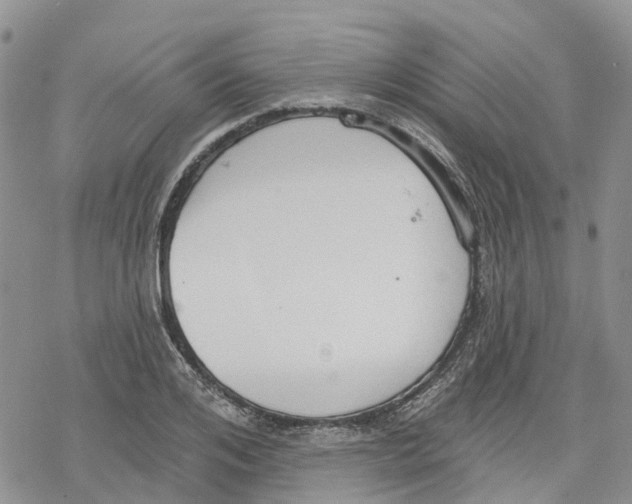 X0000078230984200611251210