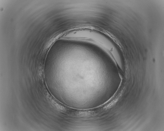 X0000078230985200611251210