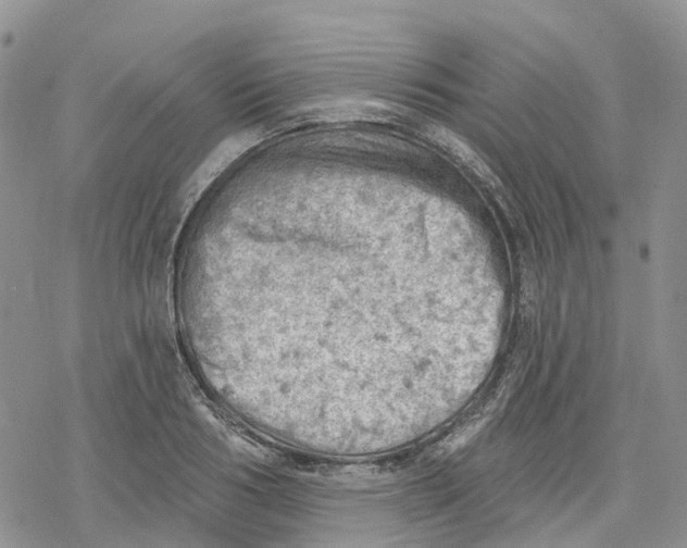 X0000078230986200611251210