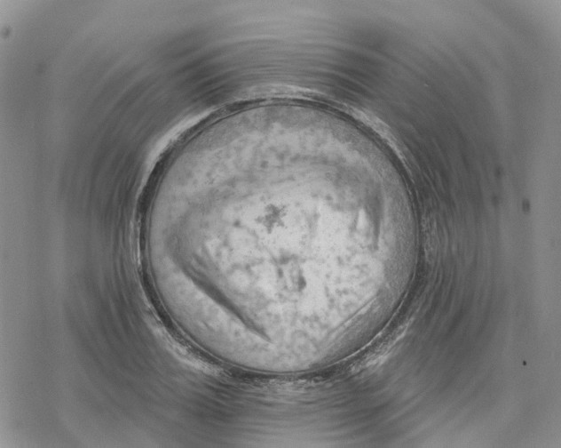 X0000078230987200611251210