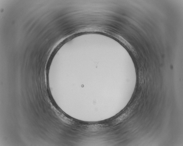 X0000078230988200611251210