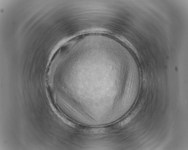 X0000078230989200611251209