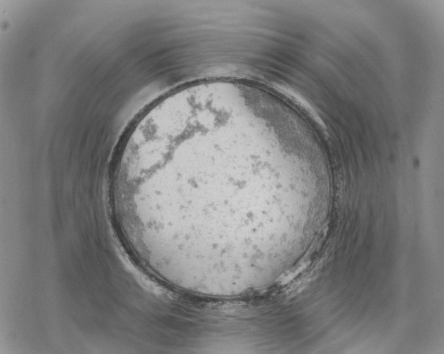 X0000078230991200611251209