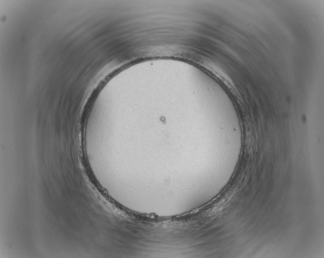 X0000078230992200611251209