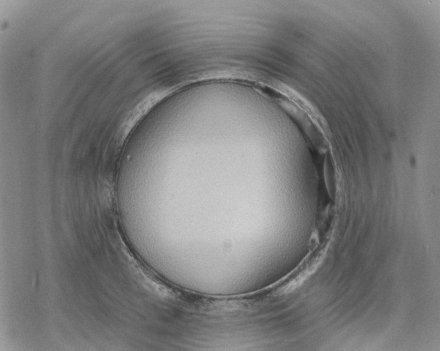 X0000078230993200611251209