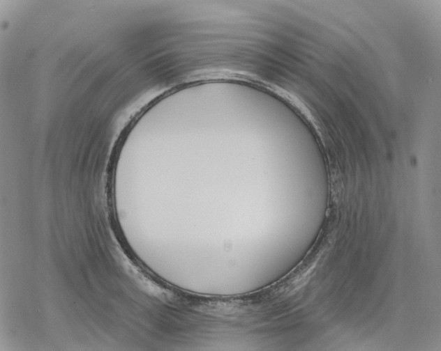 X0000078230995200611251209