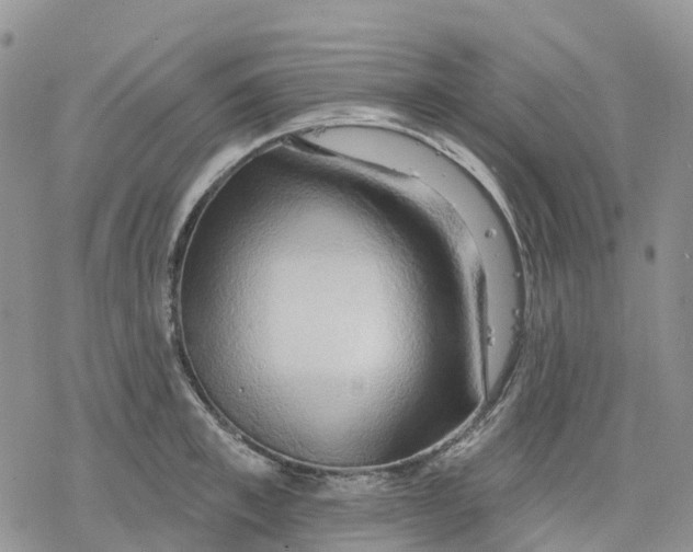 X0000078230997200611251209