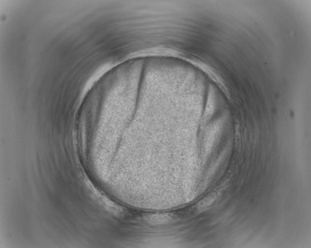 X0000078230998200611251209