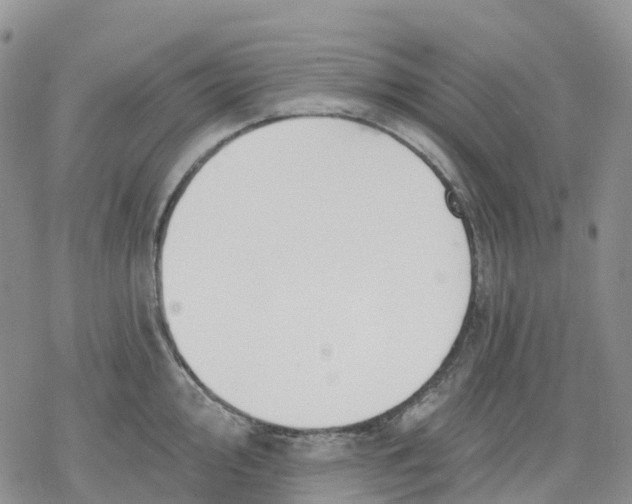 X0000078231000200611251209