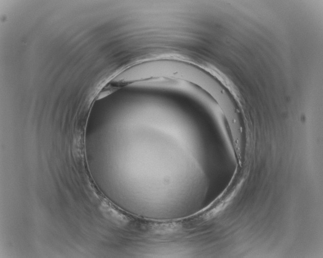 X0000078231001200611251209