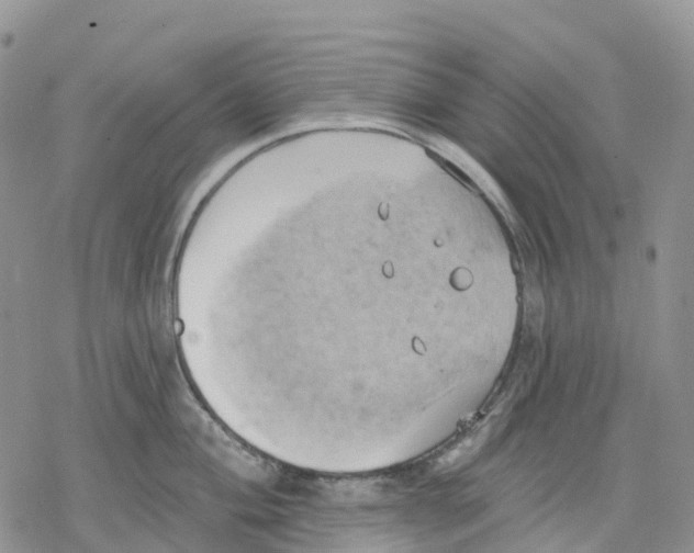 X0000078231004200611251209